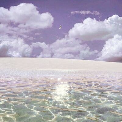 半岛综合官网App